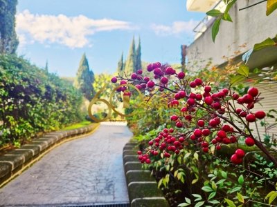 appartamento in vendita a Vetralla