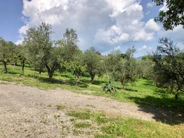 terreno agricolo in vendita a Vetralla