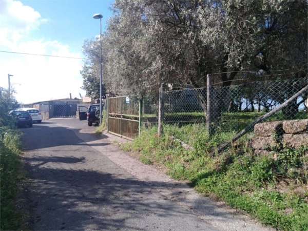terreno agricolo in vendita a Vetralla