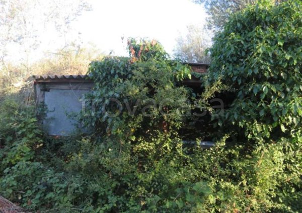 appartamento in vendita a Vetralla