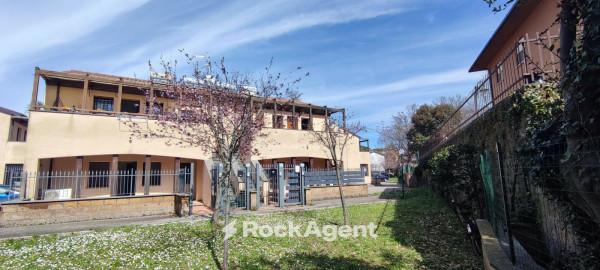 appartamento in vendita a Vetralla in zona Cura di Vetralla