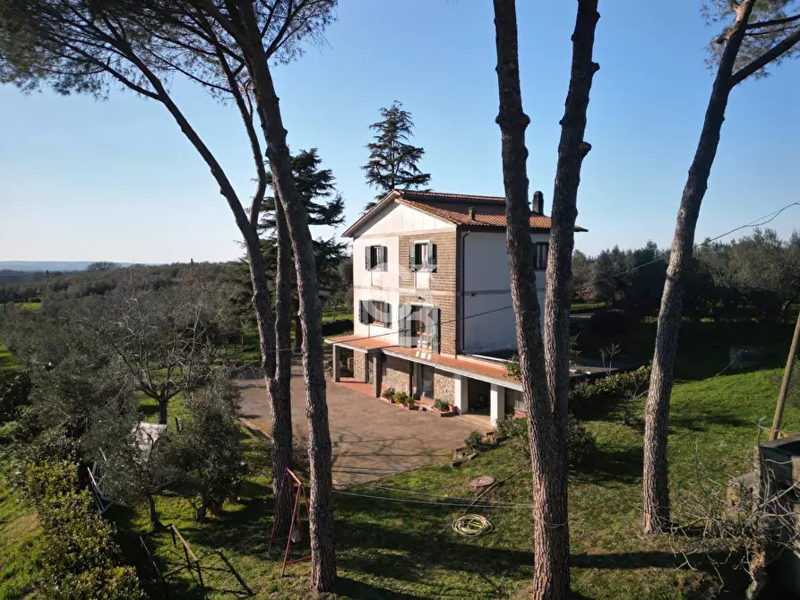 casa indipendente in vendita a Vetralla in zona Madonna del Ponte