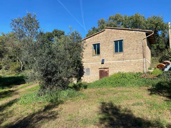 terreno agricolo in vendita a Vetralla