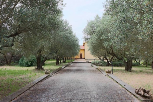 casa indipendente in vendita a Vetralla