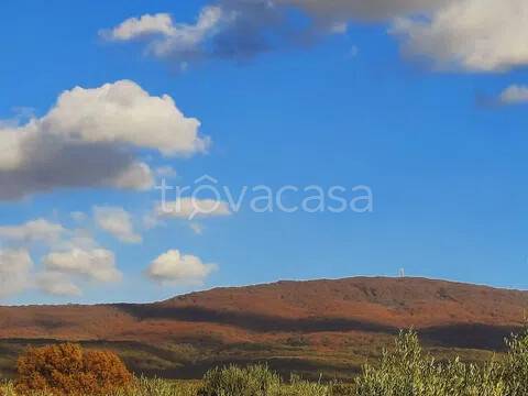 casa indipendente in vendita a Vetralla