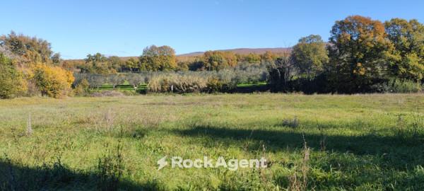 terreno edificabile in vendita a Vetralla in zona Cura di Vetralla