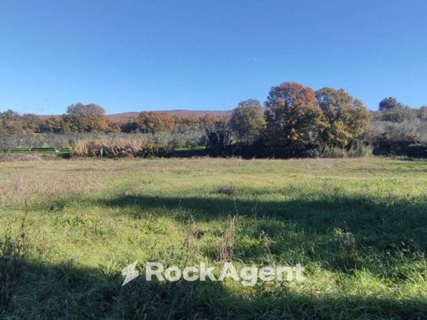 terreno agricolo in vendita a Vetralla in zona Tre Croci