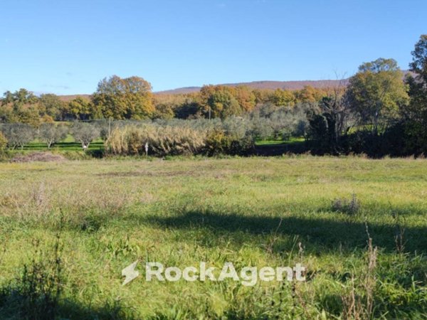 terreno agricolo in vendita a Vetralla