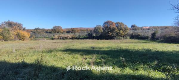 terreno edificabile in vendita a Vetralla in zona Tre Croci