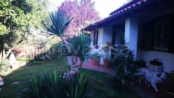 casa indipendente in vendita a Vetralla