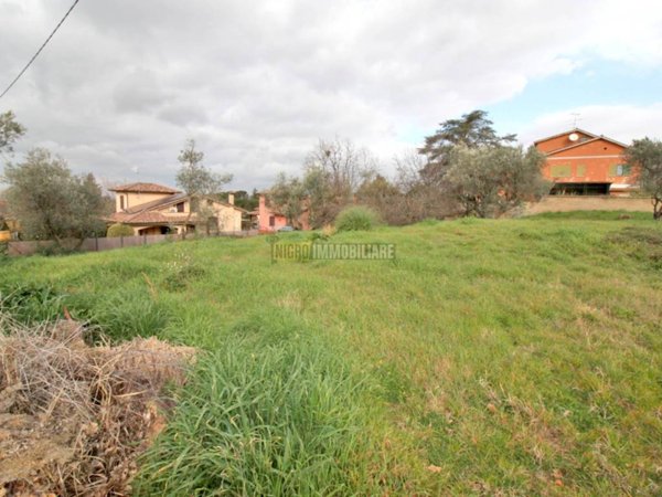 terreno agricolo in vendita a Vetralla