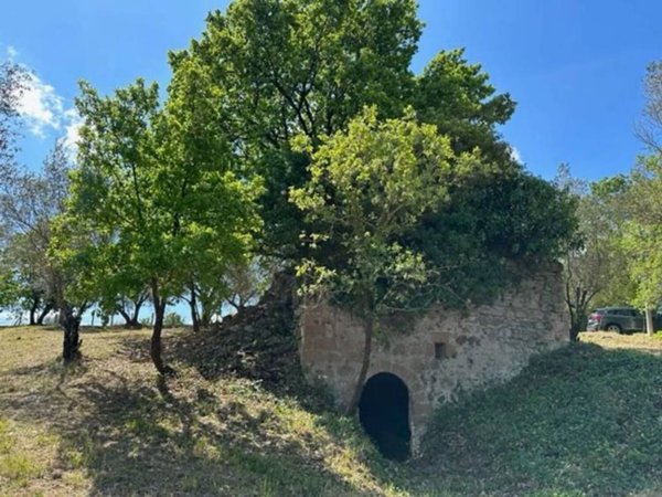 rudere in vendita a Vetralla