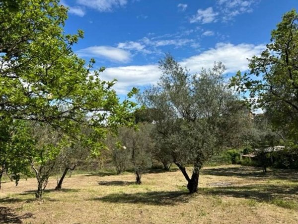 casa indipendente in vendita a Vetralla