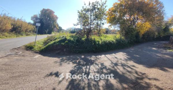 negozio in vendita a Vetralla in zona Cura di Vetralla