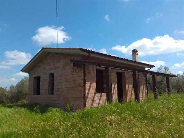 quadrivano in vendita a Vetralla