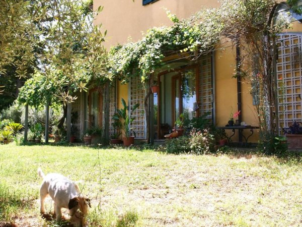 appartamento in vendita a Vetralla