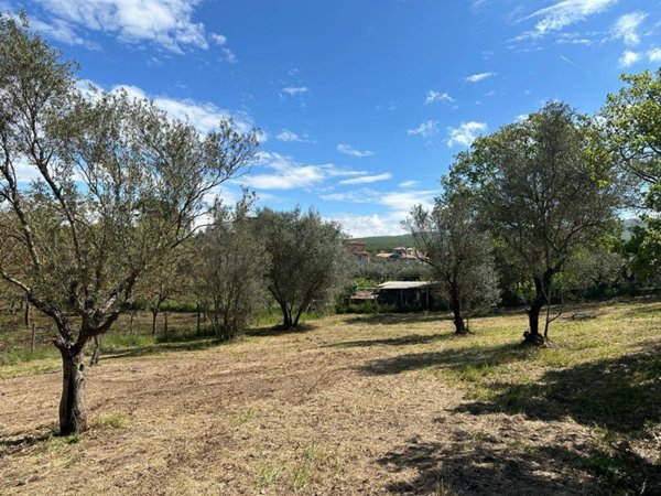 terreno agricolo in vendita a Vetralla in zona Tre Croci