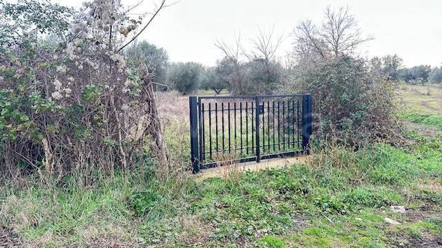 terreno agricolo in vendita a Vetralla