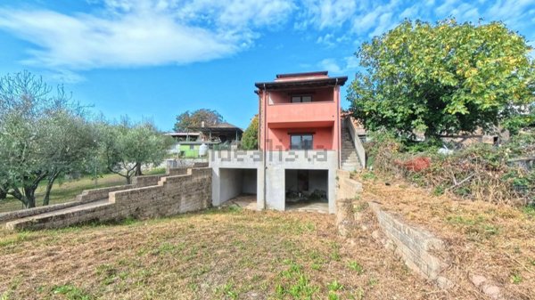 esavano in vendita a Vetralla