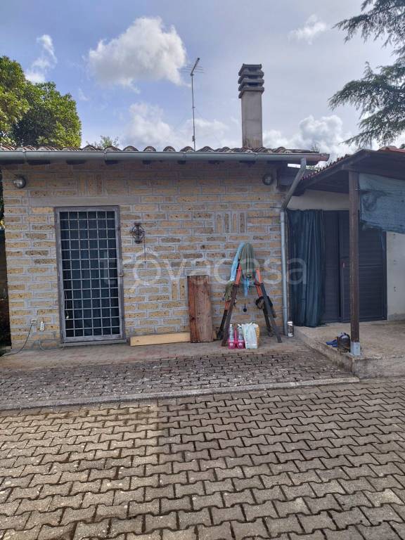 appartamento in vendita a Vetralla