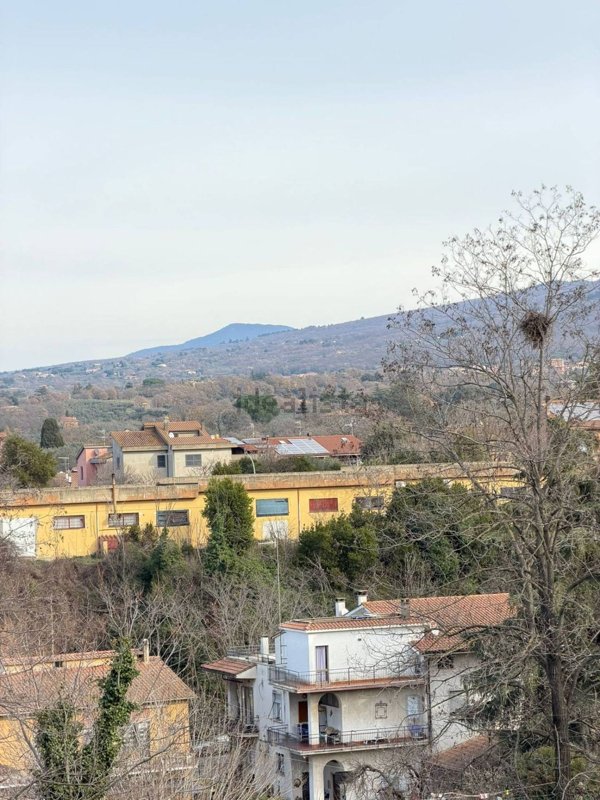 appartamento in vendita a Vetralla