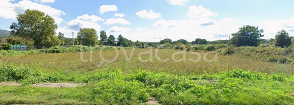 terreno agricolo in vendita a Vetralla