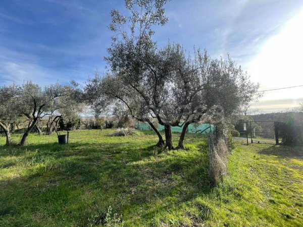 terreno agricolo in vendita a Vetralla