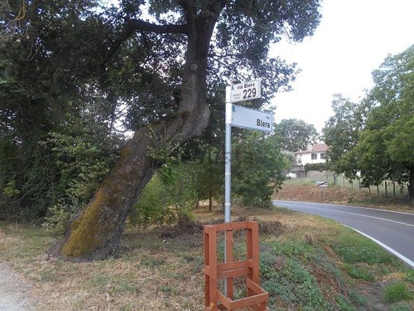terreno agricolo in vendita a Vetralla