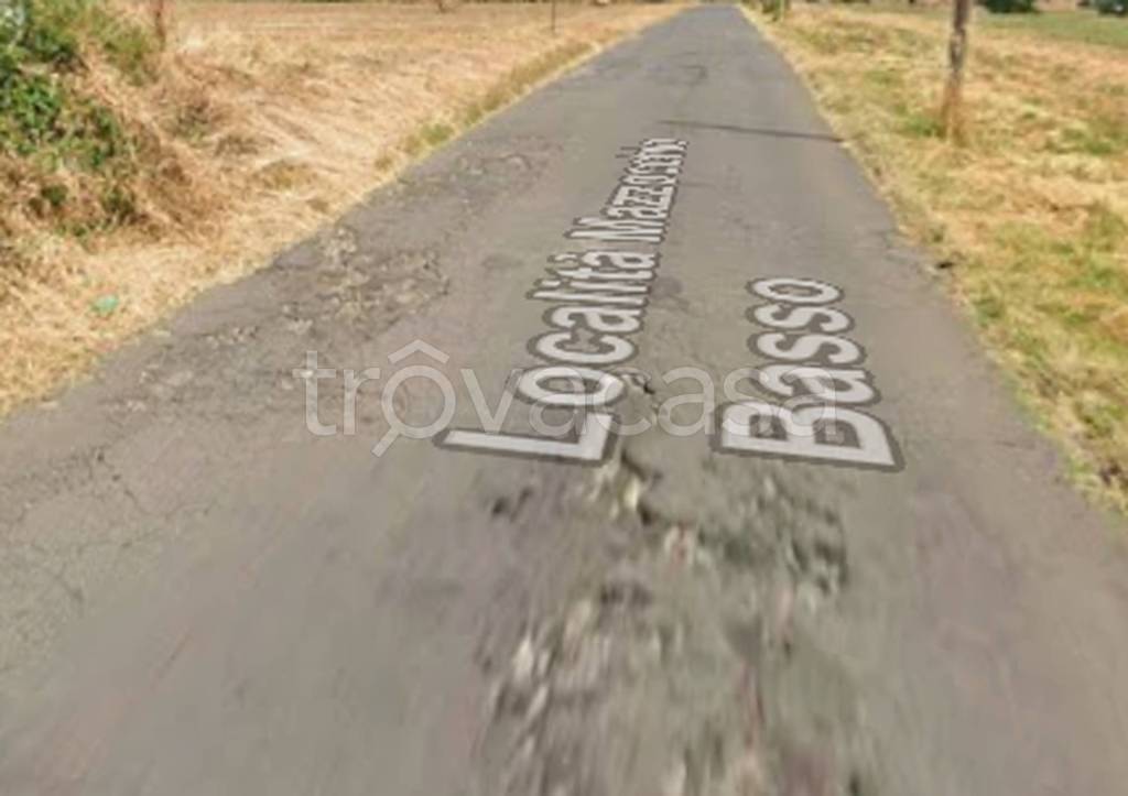 terreno agricolo in vendita a Vetralla