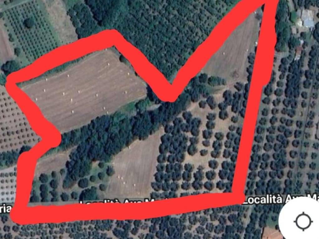 terreno agricolo in vendita a Vetralla