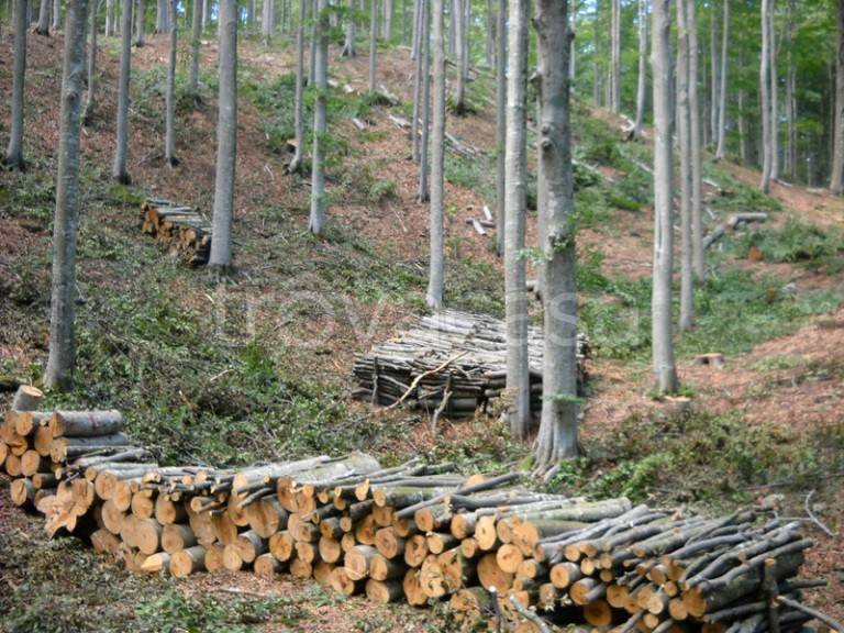 terreno agricolo in vendita a Vetralla in zona Pietrara