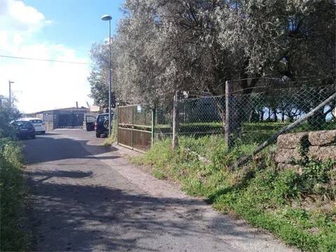 terreno agricolo in vendita a Vetralla