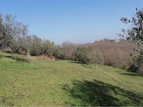 terreno agricolo in vendita a Vetralla in zona Pietrara