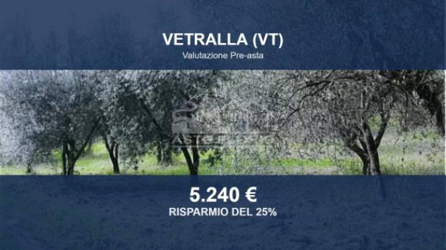 terreno agricolo in vendita a Vetralla