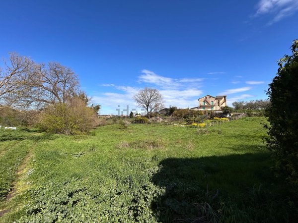 terreno in vendita a Vetralla in zona Cura di Vetralla