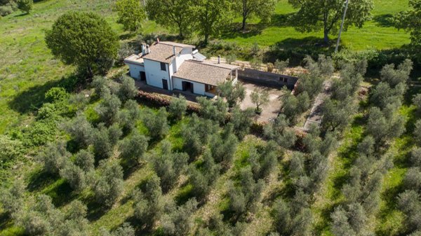 casa indipendente in vendita a Vetralla in zona Pietrara