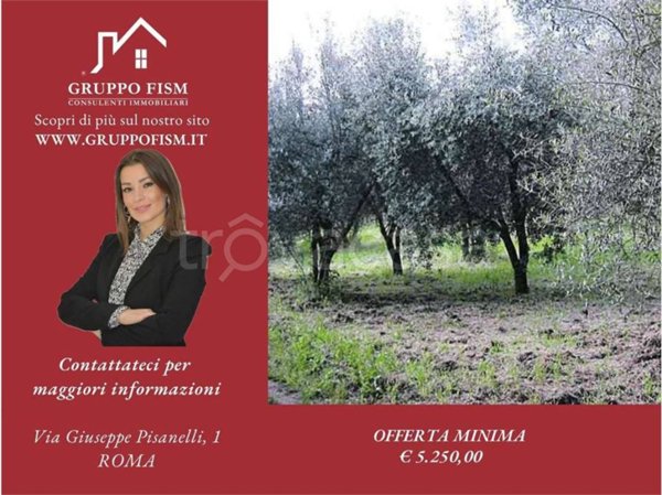 appartamento in vendita a Vetralla