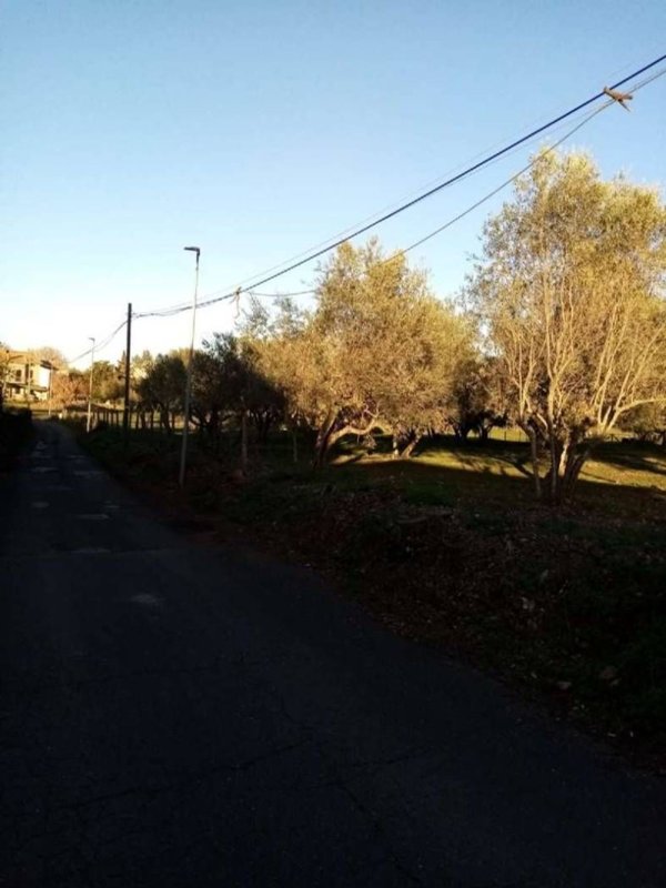 terreno in vendita a Vetralla in zona Cura di Vetralla