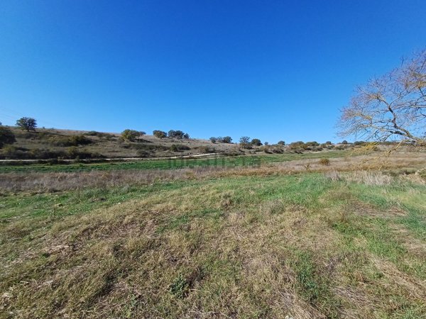 casale in vendita a Vetralla