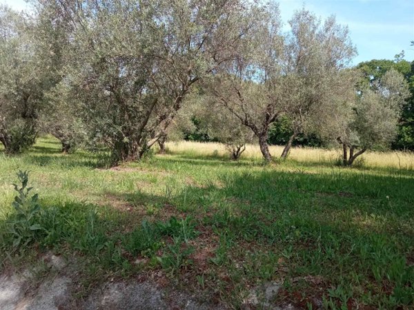 terreno in vendita a Vetralla in zona Tre Croci