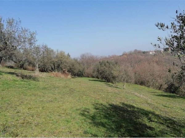 terreno in vendita a Vetralla in zona Pietrara