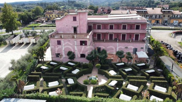 negozio in vendita a Vignanello