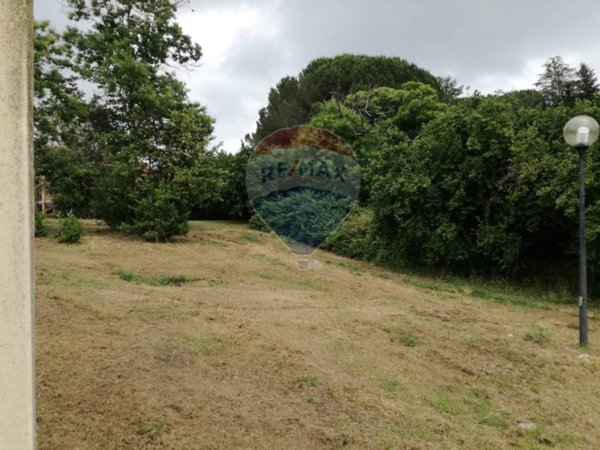 terreno agricolo in vendita a Vignanello