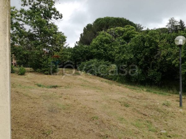 terreno agricolo in vendita a Vignanello