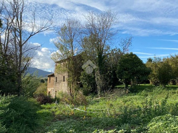 appartamento in vendita a Vignanello