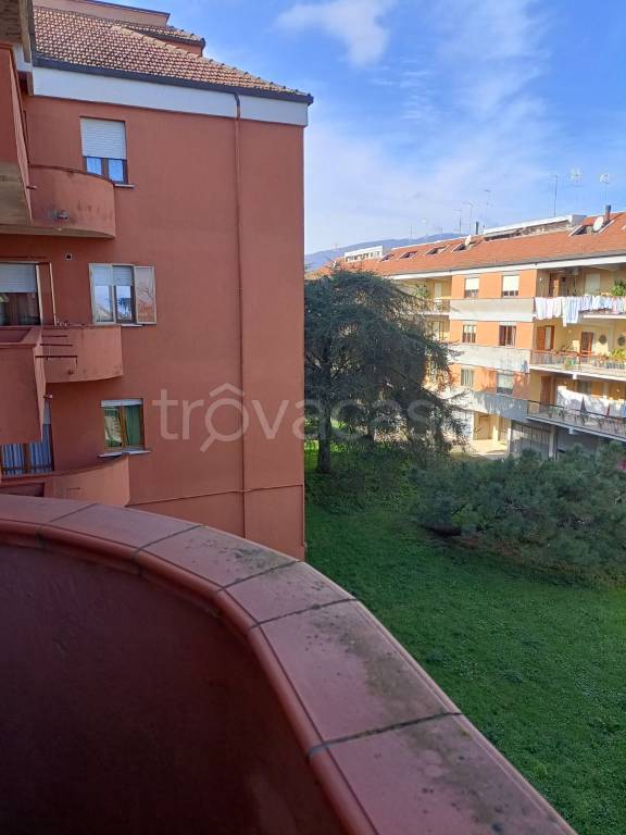 appartamento in vendita a Vignanello