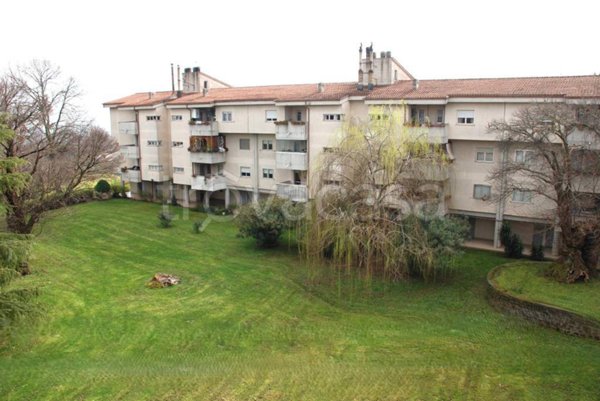 appartamento in vendita a Vignanello