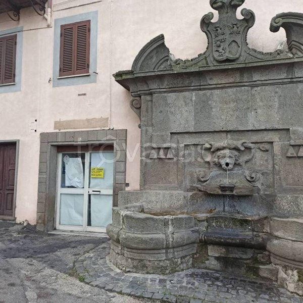 negozio in vendita a Vignanello