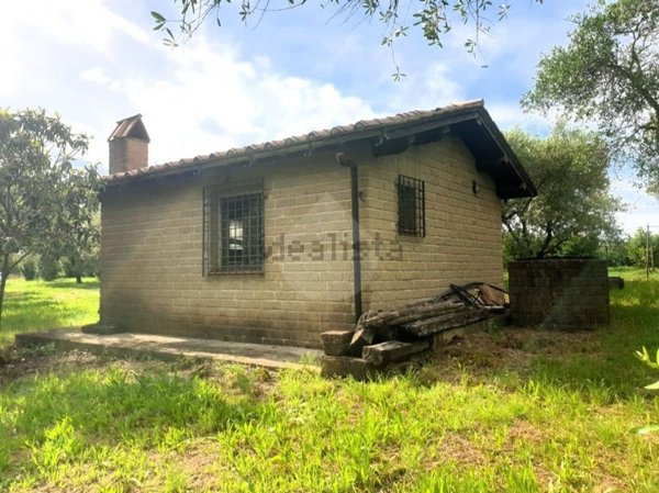 terreno agricolo in vendita a Vignanello