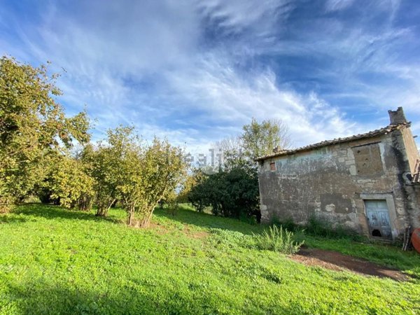 appartamento in vendita a Vignanello